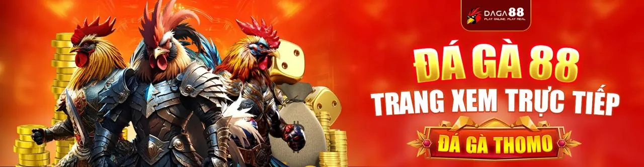 Một trận đấu đá gà trực tiếp kịch tính tại mmo88