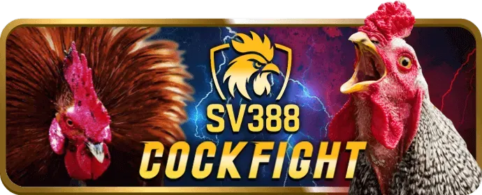 Chính sách bảo mật mmo88